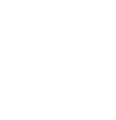 Icono de una espiga de trigo

